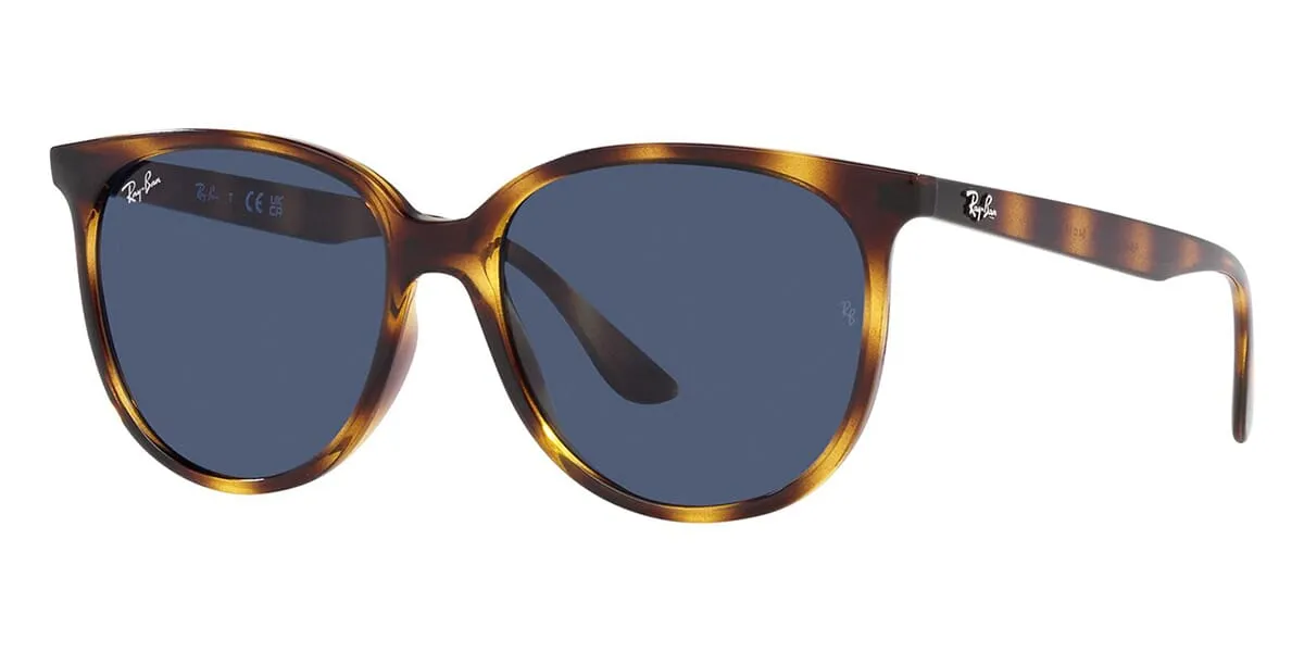 Ray-Ban RB 4378 710/80