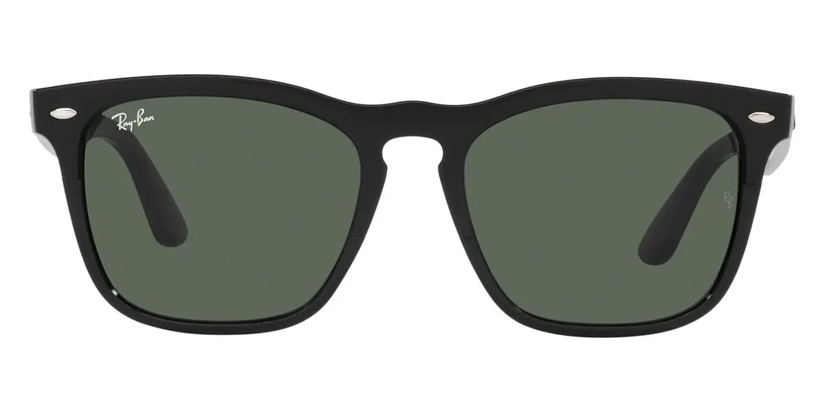 Ray-Ban Steve RB 4487 6629/71