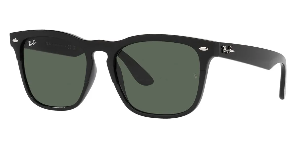 Ray-Ban Steve RB 4487 6629/71